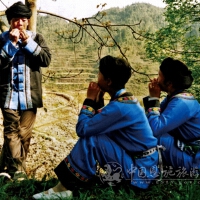 咚咚奎圖片照片_咚咚奎