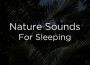 Sounds of Nature | Powerful Music for Sleep專輯_Organic Nature SoundSounds of Nature | Powerful Music for Sleep最新專輯