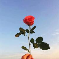 Elyar歌曲歌詞大全_Elyar最新歌曲歌詞