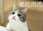 吃肉肉不長肉