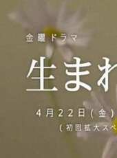 明天也想見到你線上看_全集高清完整版線上看_分集劇情介紹_好看的電視劇