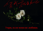 奶牛暈船歌曲歌詞大全_奶牛暈船最新歌曲歌詞