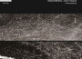 Stephan Mathieu最新歌曲_最熱專輯MV_圖片照片