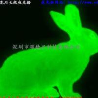 夜光兔子圖片照片_照片寫真