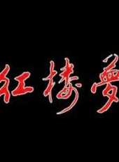 紅樓夢（越劇版）線上看_全集高清完整版線上看_分集劇情介紹_好看的電視劇