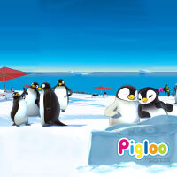 Pigloo圖片照片_Pigloo
