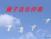 雁子音樂伴奏