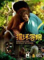 猩球學院線上看_全集高清完整版線上看_分集劇情介紹 - 蟲蟲電視劇
