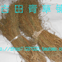 寒草圖片照片_寒草