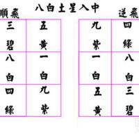 九紫圖片照片_九紫