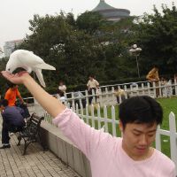 愛情與和平圖片照片_愛情與和平