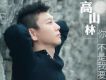 高山林歌曲歌詞大全_高山林最新歌曲歌詞