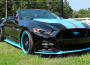 The Mustangs專輯_The MustangsThe Mustangs最新專輯