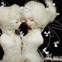 Numina圖片照片_Numina
