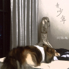 劉紀成歌曲歌詞大全_劉紀成最新歌曲歌詞