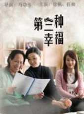 第三種幸福線上看_全集高清完整版線上看_分集劇情介紹_好看的電視劇
