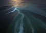 死海專輯_sea蕊死海最新專輯