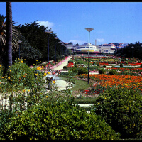 Portugal th..圖片照片_Portugal th..