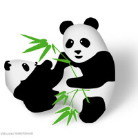 Panda圖片照片_Panda