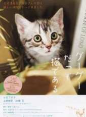 上野樹里最新電影_上野樹里電影全集線上看_好看的電影