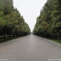 一條路圖片照片_一條路