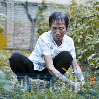 崔文圖片照片_崔文