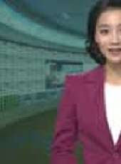 遼寧新聞最新一期線上看_全集完整版高清線上看 - 蟲蟲綜藝