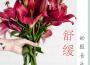 讓嬰兒做夢的晚安曲 - 平緩和甜甜的催眠曲專輯_愛麗絲搖籃曲讓嬰兒做夢的晚安曲 - 平緩和甜甜的催眠曲最新專輯