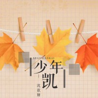 少年凱