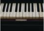 Keys To Peace最新歌曲_最熱專輯MV_圖片照片