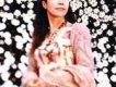 白鳥英美子歌曲歌詞大全_白鳥英美子最新歌曲歌詞