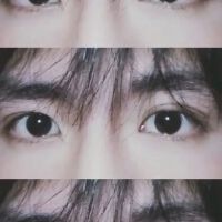 清歡渡最新歌曲_最熱專輯MV_圖片照片