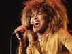 Tina Turner圖片照片