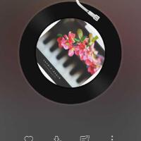 Pipy He圖片照片_照片寫真