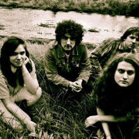 Caged Animals圖片照片_照片寫真