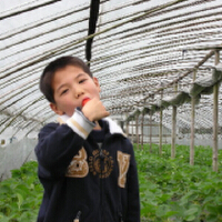 俞航圖片照片_俞航