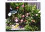 Bless the Moment專輯_Berthenia J. BanksBless the Moment最新專輯