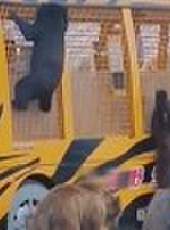 卡酷動物園 2020最新一期線上看_全集完整版高清線上看_好看的綜藝