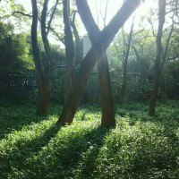 曲：曹冠玉 詞：段晴 演唱：羅偉恆 黃夢蝶 吳雪松 夏鵬飛 李岩鹿 姚澤宇 吳子軒圖片照片_照片寫真