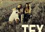 TEX歌曲歌詞大全_TEX最新歌曲歌詞
