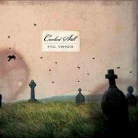 Crooked Still圖片照片_Crooked Still