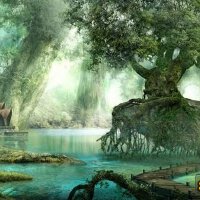 森林物語圖片照片_森林物語
