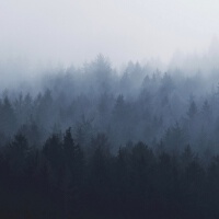 澤野千里最新專輯_新專輯大全_專輯列表