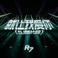就讓我愛你 (DJ版片段)