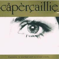 Capercaillie圖片照片_Capercaillie