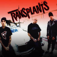 Transplants圖片照片_Transplants