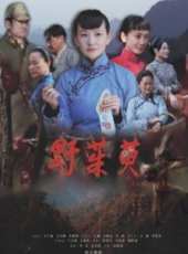 付瑤演過的電影電視劇線上看_影視作品大全_好看的明星