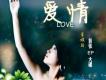 醉愛情歌全輯