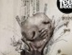 FeelAbouT歌曲歌詞大全_FeelAbouT最新歌曲歌詞