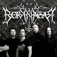 Borknagar圖片照片_Borknagar